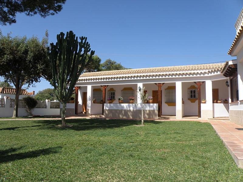 Hostal Las Acacias Los Canos De Meca Bagian luar foto