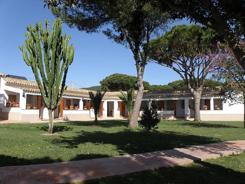 Hostal Las Acacias Los Canos De Meca Bagian luar foto